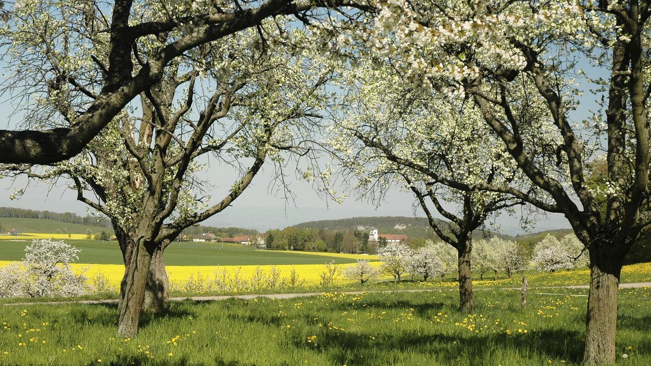 Klosterhotel Kreuz Mariastein Bagian luar foto